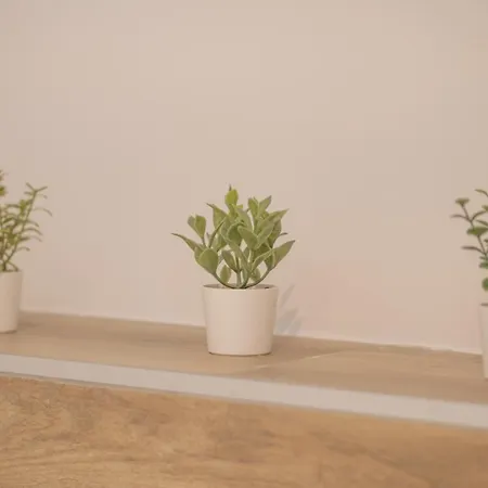 Le Refuge Petillant - Terrasse Et Jardin *